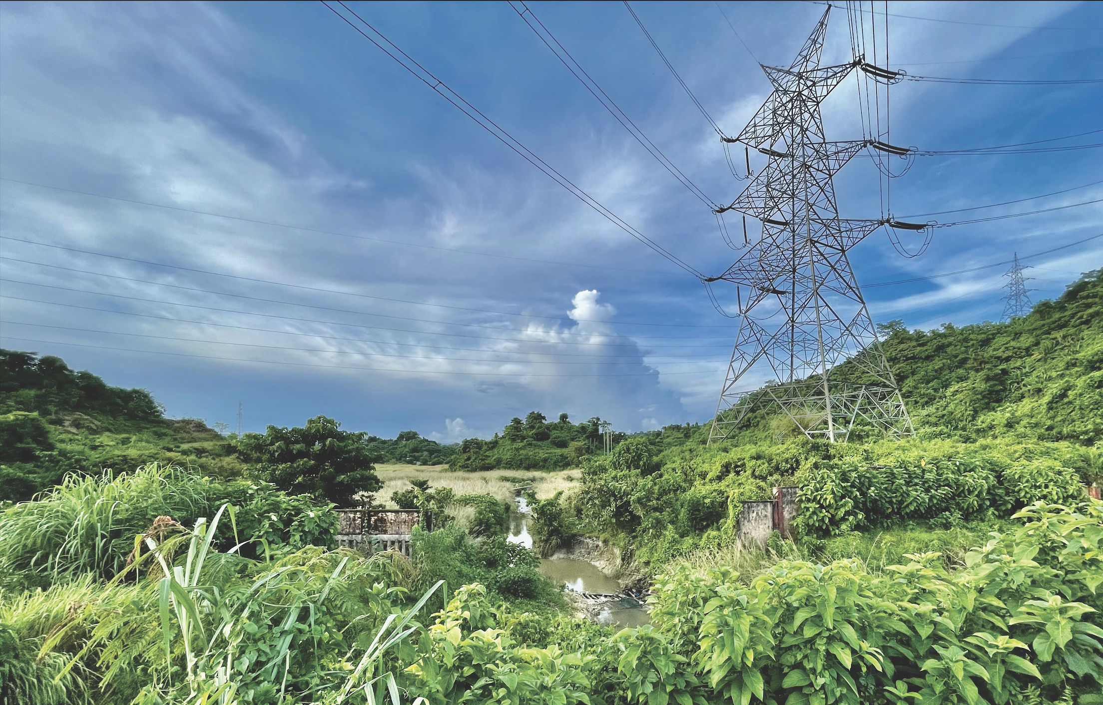 Project-Your-State-powergrid-posts-profit-after-tax-pat-of--3631-cr-and-total--income--11444-cr-for-q1fy26-on-consolida