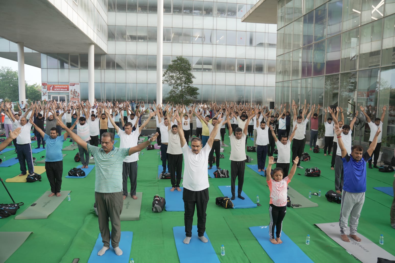 Indian-GRAPEVINE-rec-limited-commemorates-international-day-of-yoga-2025