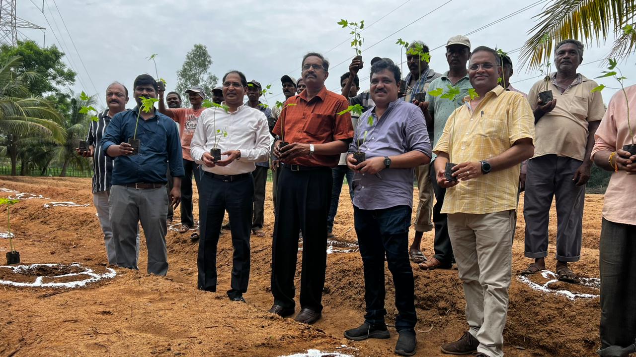 Project-Your-State-papaya-plantation-drive-taken-up-at-rinl