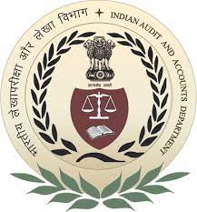 Indian-GRAPEVINE-manish-kumar-i-designated-as-dy-cag-local-government-audit