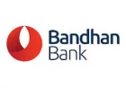 Bandhan Bank Q3 net profit falls 51.7 pc to Rs 206 cr