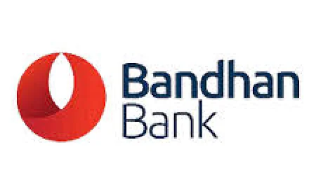 Bandhan Bank Q3 net profit falls 51.7 pc to Rs 206 cr