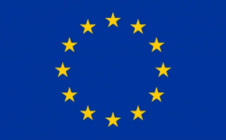 EU banks can open 15 branches over four years under FTA with India