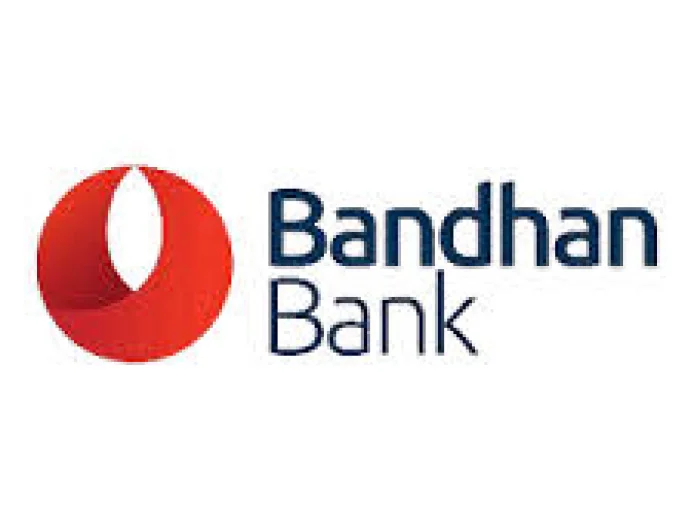 Bandhan Bank Q3 net profit falls 51.7 pc to Rs 206 cr