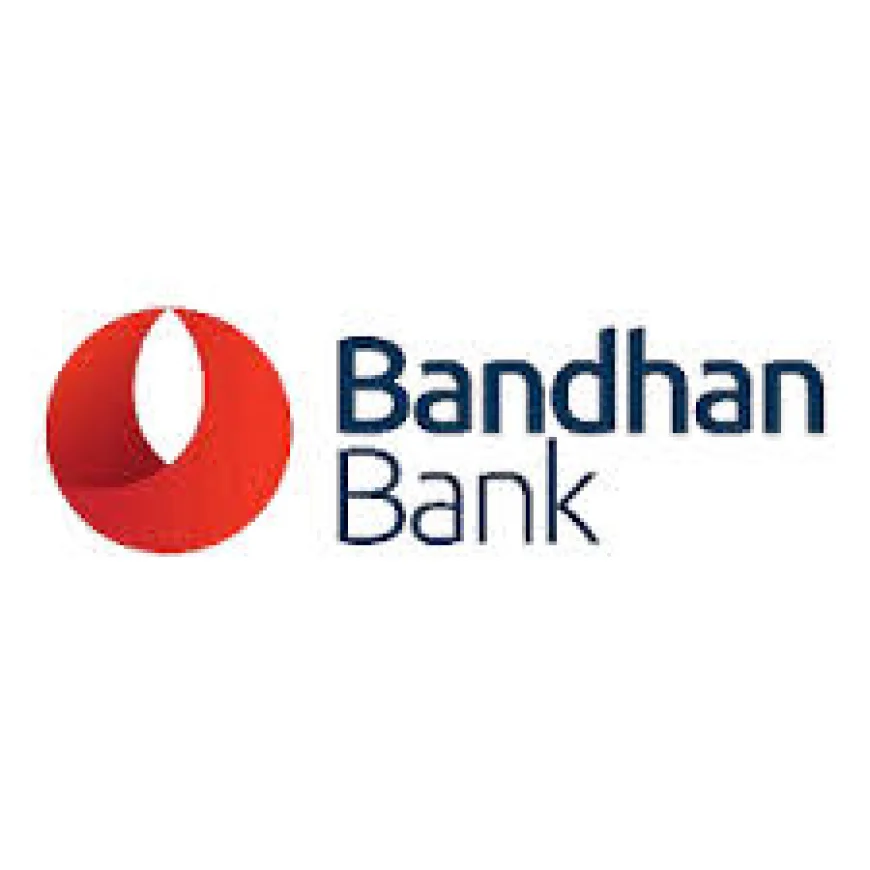 Bandhan Bank Q3 net profit falls 51.7 pc to Rs 206 cr