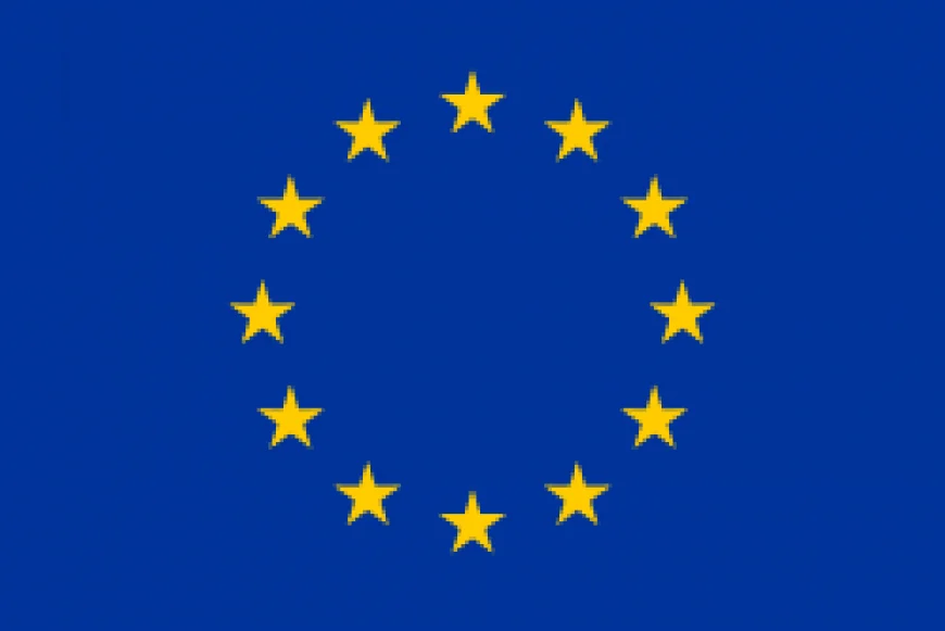 EU banks can open 15 branches over four years under FTA with India