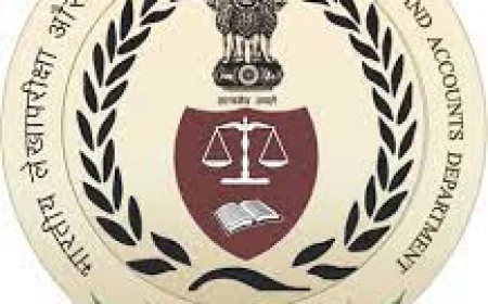 Post of Dinesh Hariram Mate upgraded to Director level