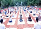 POWERGRID Marks International Day of Yoga Across Offices Nationwide