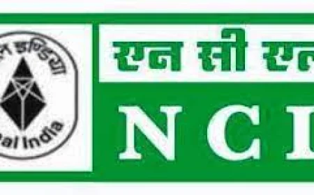 Darla Sunil Kumar Gets Three-Month Extension as Director Finance, Northern Coalfields Limited