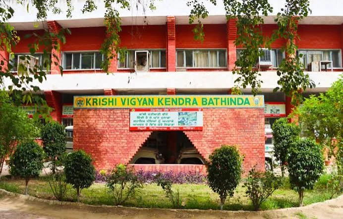 Krishi Vigyan Kendras Set for Shift Towards Research, Incubation and Farmer Skills